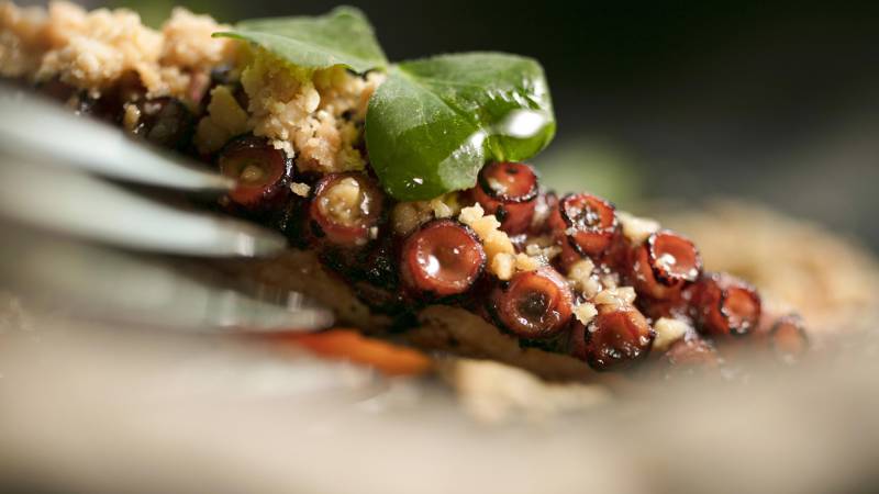 Villa-Mercede-FOOD-00089